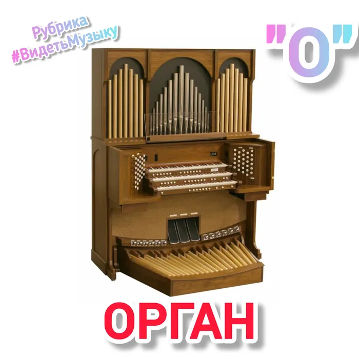 InShot_20240821_074800143